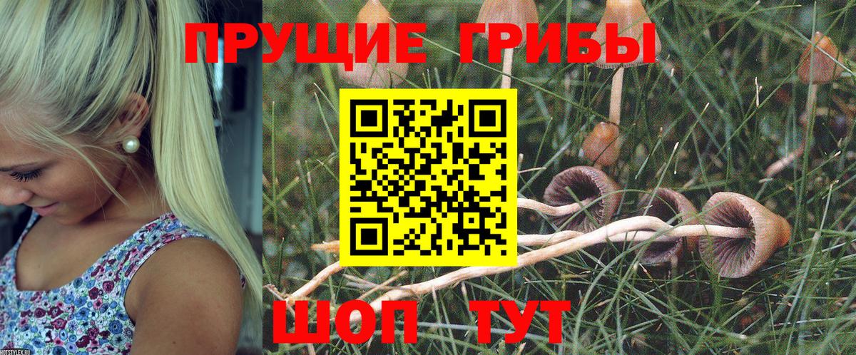 Псилоцибиновые грибы MAGIC MUSHROOMS Новочебоксарск